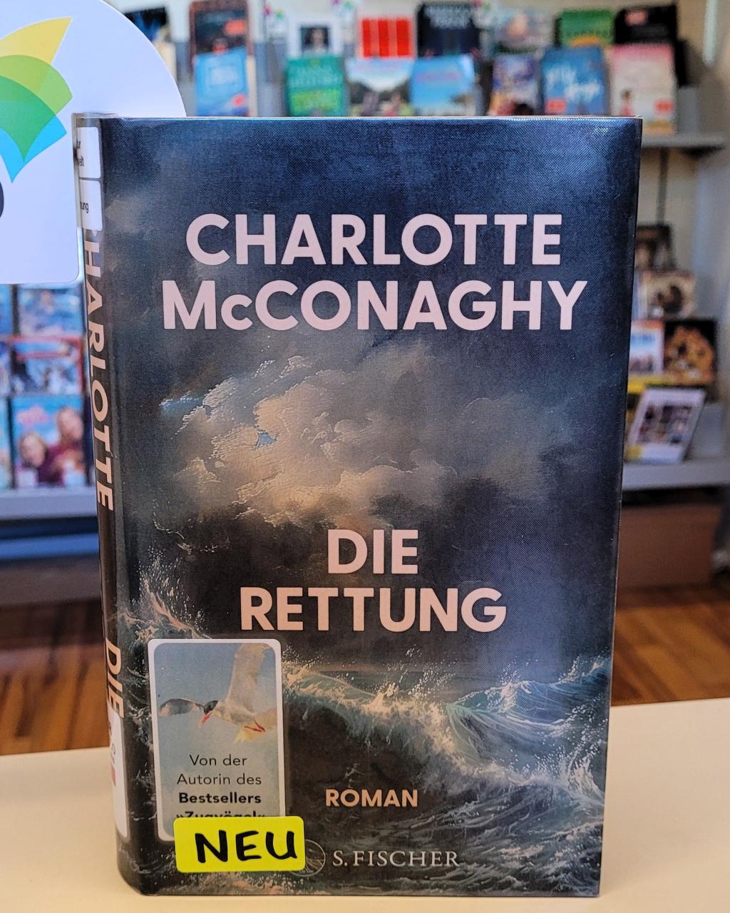 Bild vom Buch in der Bücherei